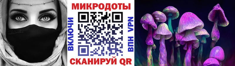 Галлюциногенные грибы мицелий Новодвинск
